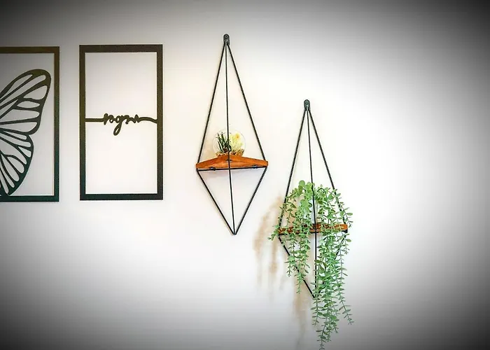 Manu Startup House İstanbul